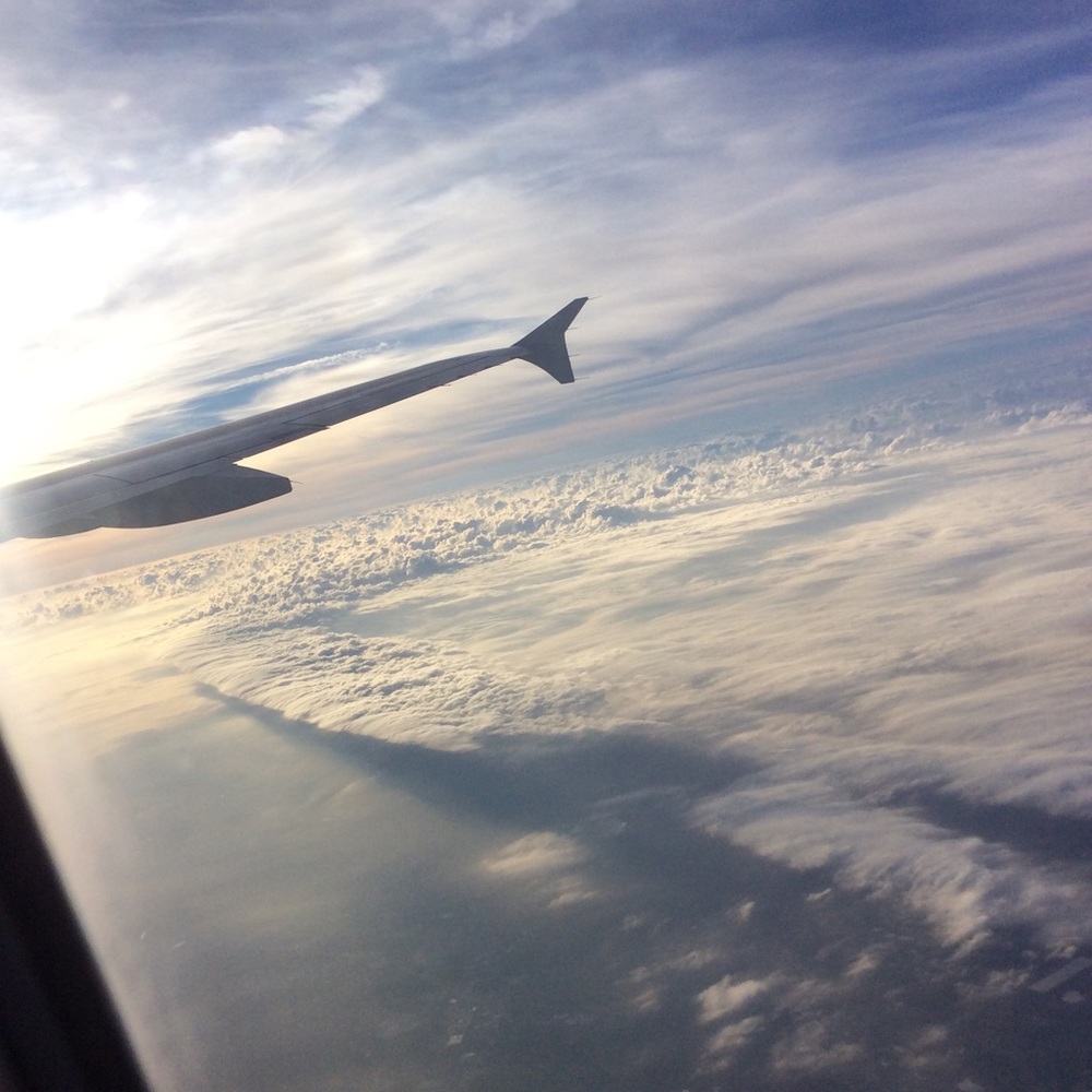 Meet your Posher, Delia